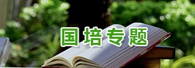 发布日期